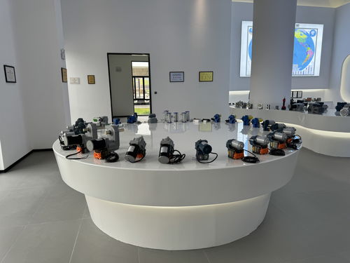 萬千氣象看四川 甜美內(nèi)江行丨企業(yè) 回家 拓展 升級 前景