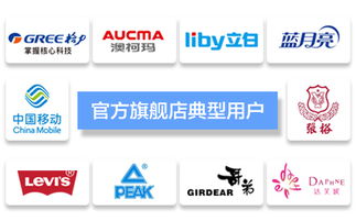 臺州飛速網(wǎng)絡(luò) 一站式網(wǎng)站建設(shè)、淘寶代運營與優(yōu)化服務(wù)專家